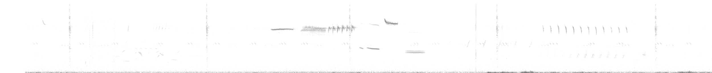 Cassin's Sparrow - ML636456481