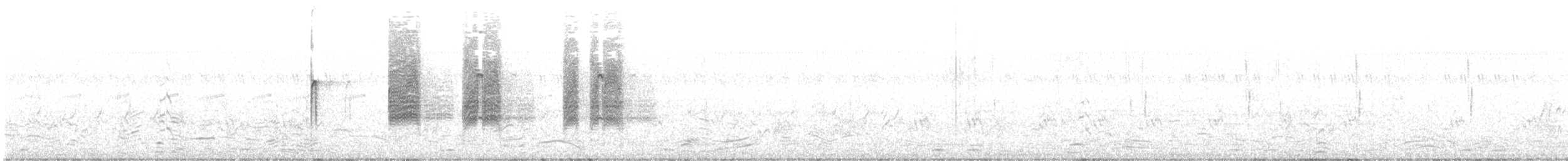 Black Francolin - ML636457839