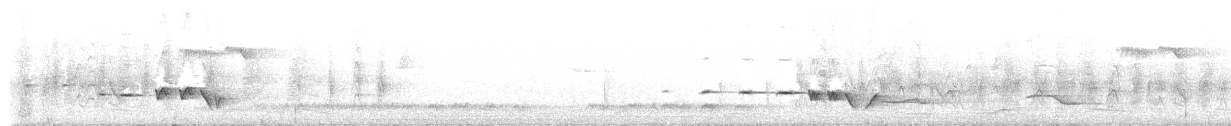 Gray-bellied Tesia - ML636458039