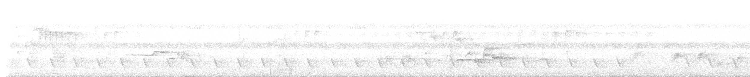 Pin-striped Tit-Babbler - ML636458416