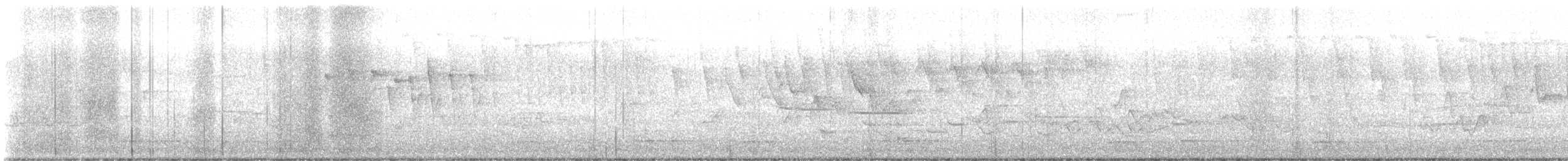 Connecticut Warbler - ML636459083