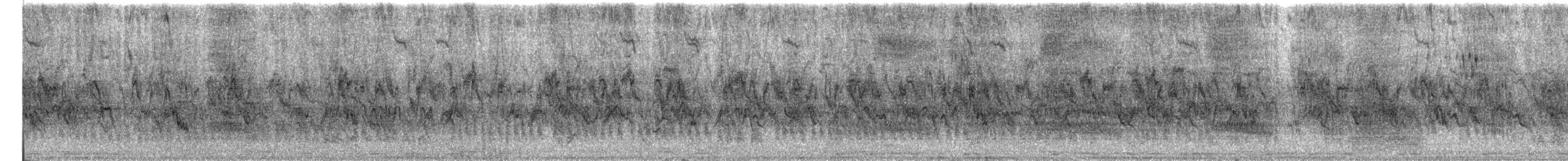 Spanish Sparrow - ML636459891