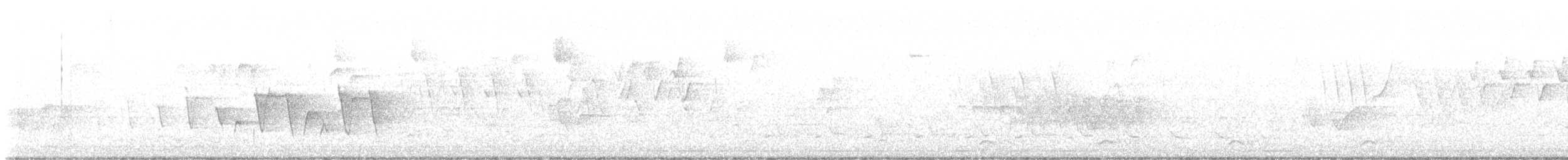 Connecticut Warbler - ML636467239