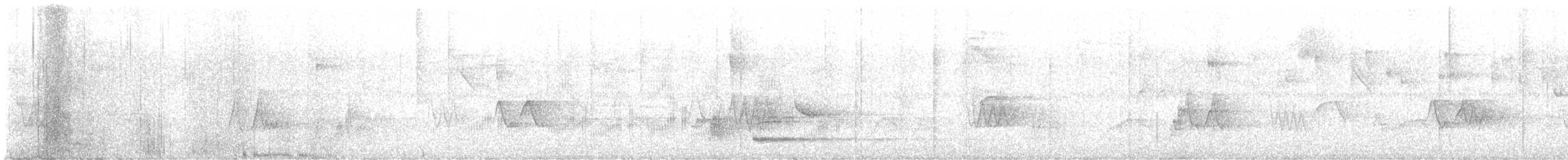 Black-tailed Tityra - ML636468974