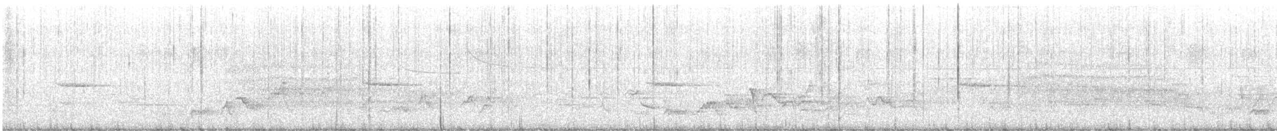 Swainson's Thrush - ML636469916