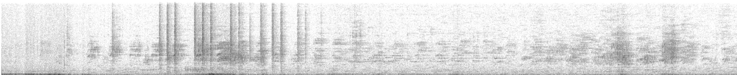 datlíček proužkobřichý - ML636471341