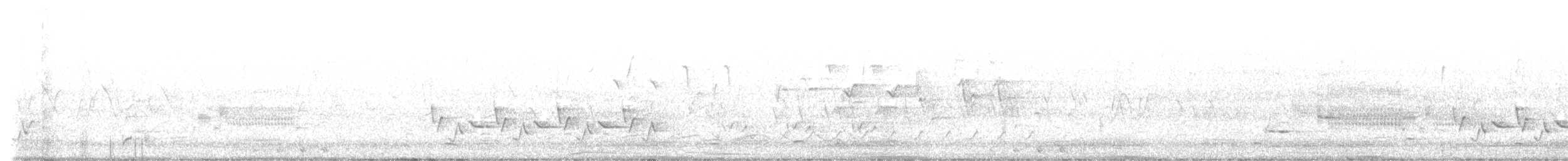 Least Bittern - ML636471860