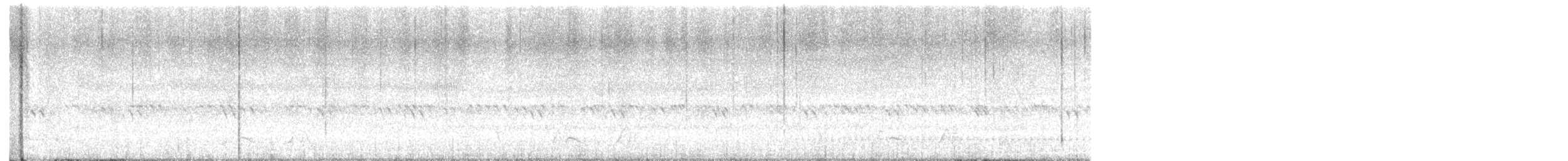 Chuck-will's-widow - ML636474888