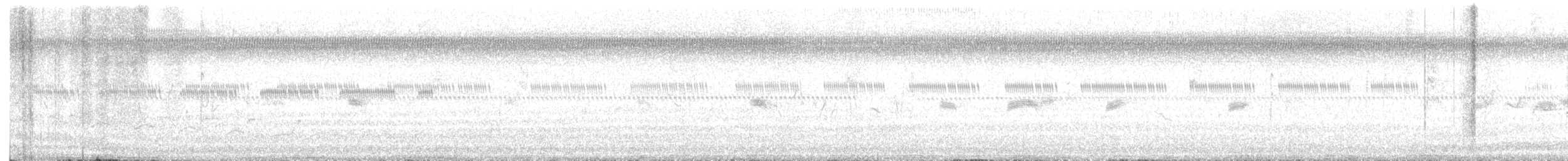 Canyon Wren - ML636474965