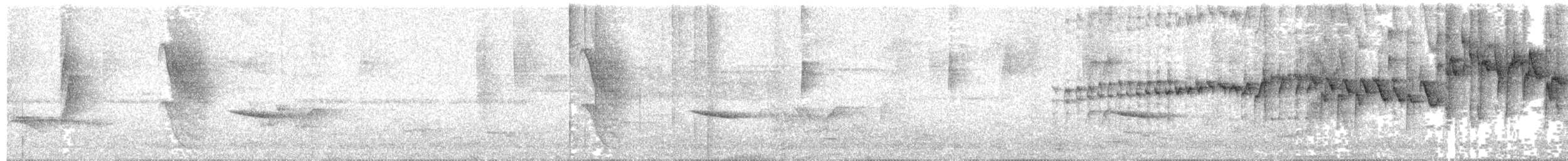 stripehodeparula - ML636476932