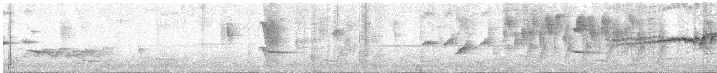 stripehodeparula - ML636476933