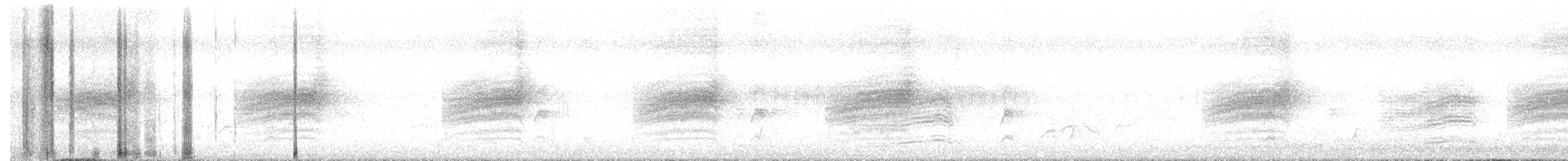 Warbling Vireo (Western) - ML636478018
