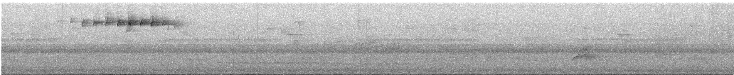 Blackpoll Warbler - ML636479904