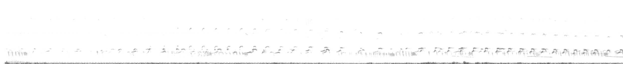 bengalnattravn - ML636481704