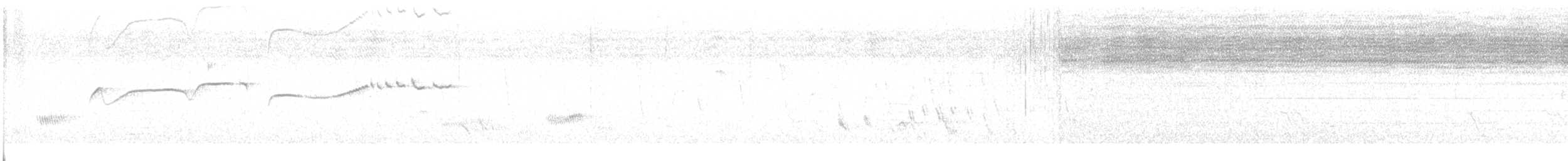 White-naped Xenopsaris - ML636482128