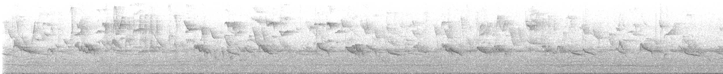 Cape White-eye - ML636483953