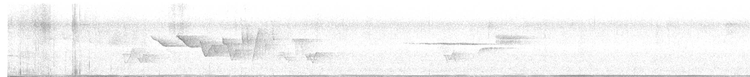 Louisiana Waterthrush - ML636484528