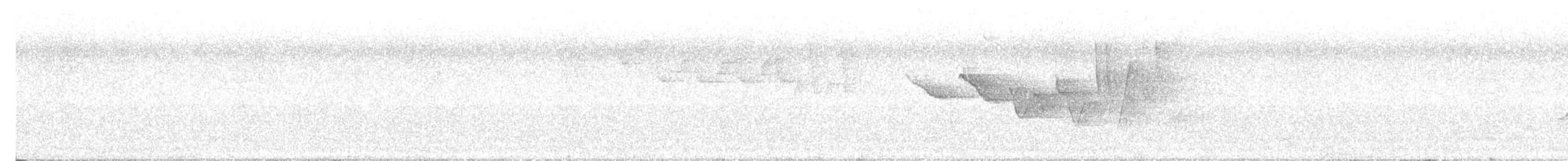 Louisiana Waterthrush - ML636484530