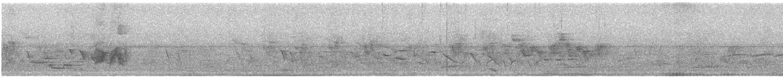 חטפית האלמון - ML636484624