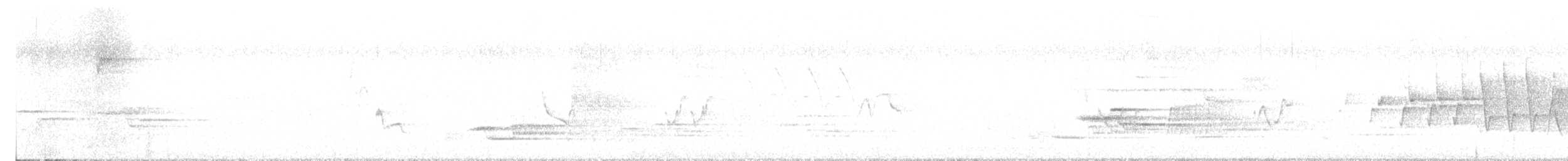Wood Thrush - ML636485670