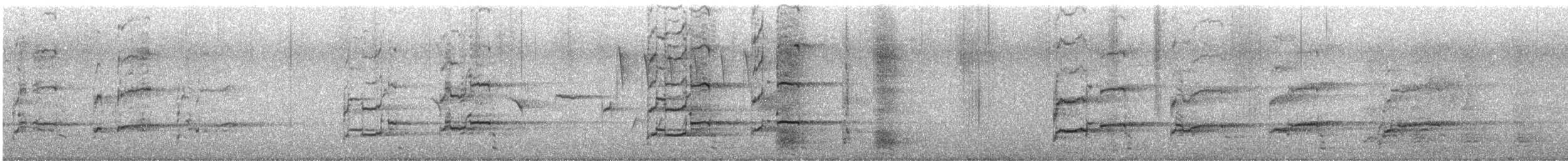 ハクトウワシ - ML636485942