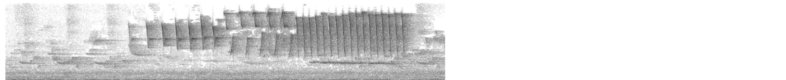 møllparula - ML636485950