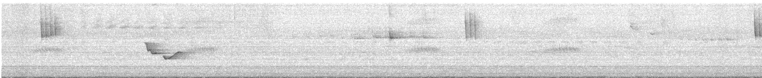 Madagascar Wagtail - ML636487026