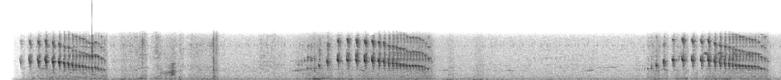 Curve-billed Reedhaunter - ML636487189