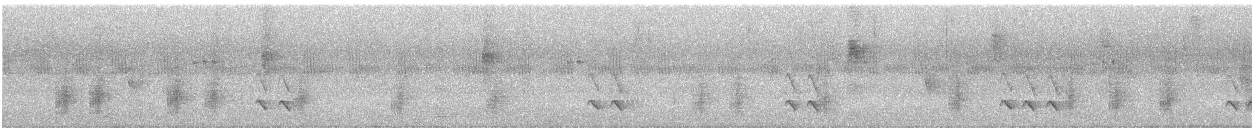 Rufous-margined Antwren - ML636488644