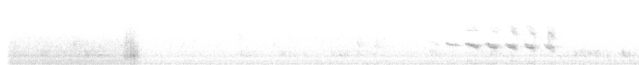 Star-throated Antwren - ML636488899