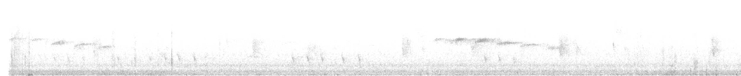 Squamate Antbird - ML636489000