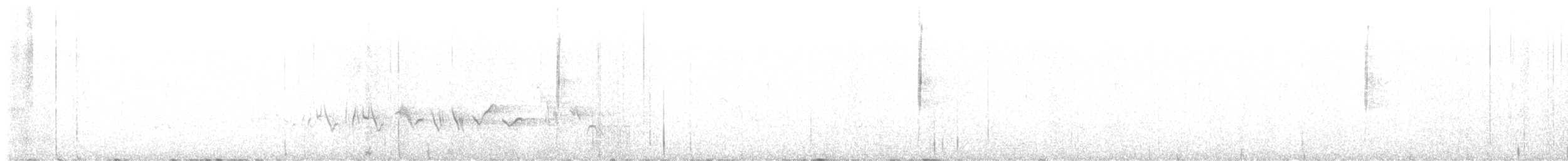 solitary vireo sp. - ML636489368
