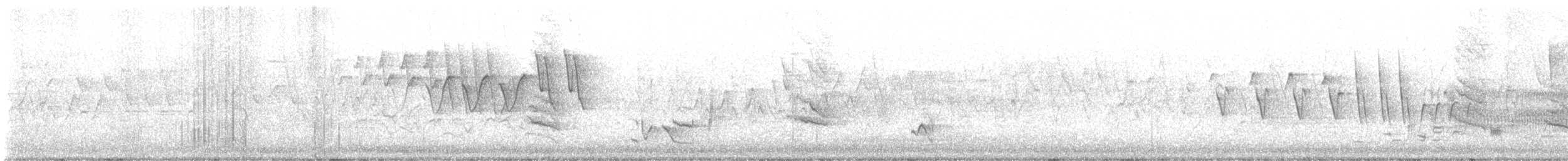 Northern Waterthrush - ML636489581