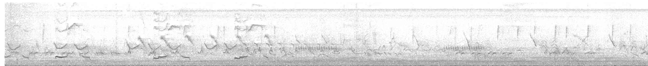 Groove-billed Ani - ML636490133