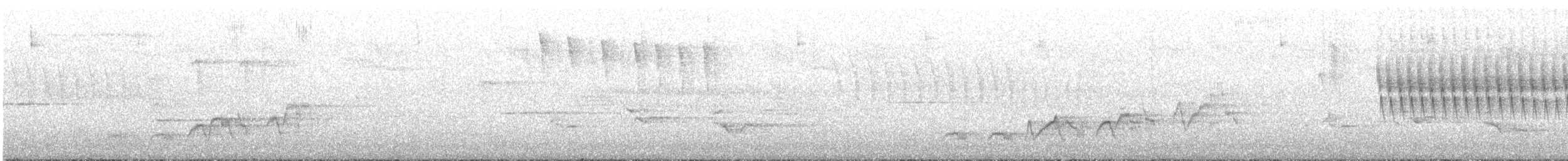 Swainson's Thrush - ML636491995