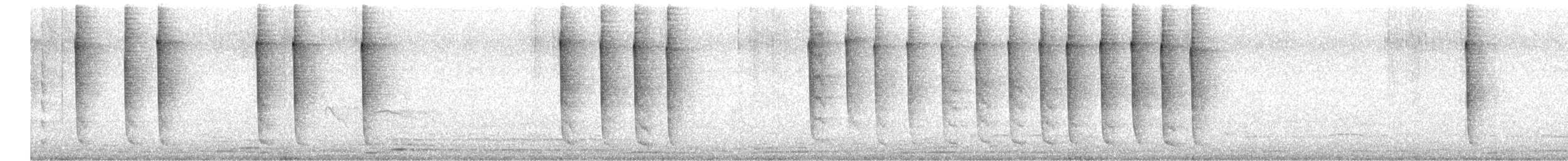 Swallow-tailed Hummingbird - ML636494695