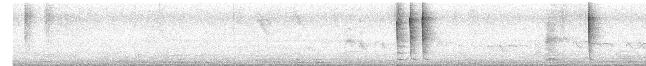 Swallow-tailed Hummingbird - ML636494886
