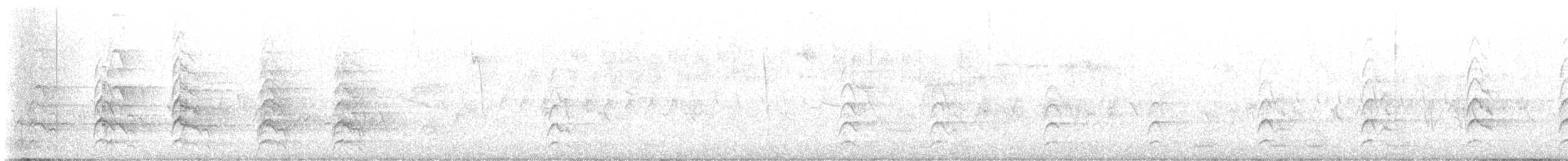カタアカノスリ（elegans） - ML636497438