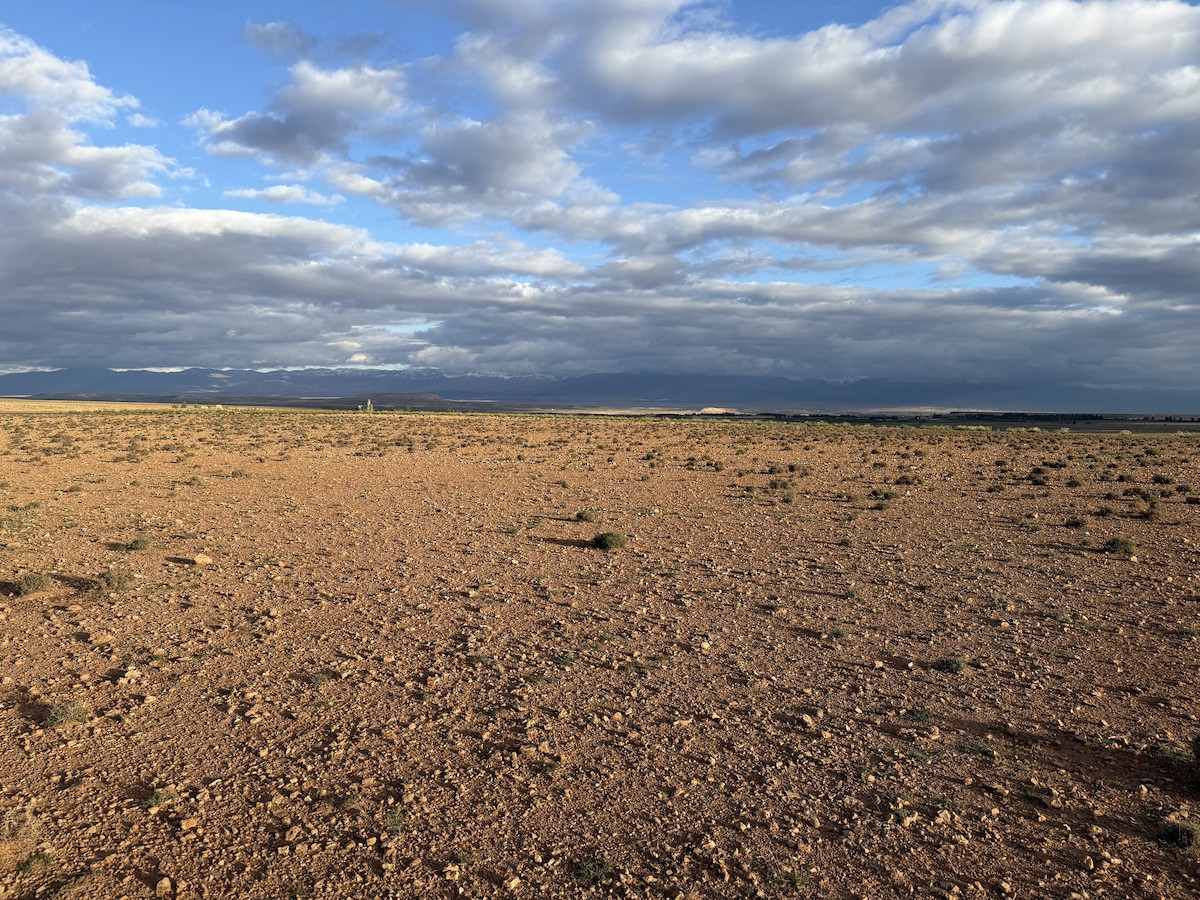 null - ML636497468