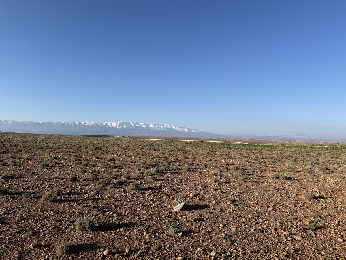 null - ML636497654