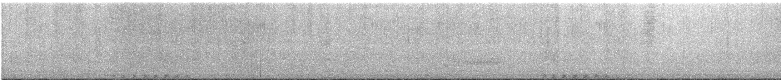 Least Bittern - ML636498648
