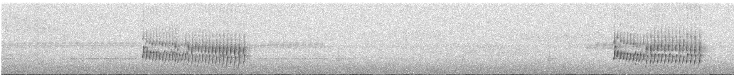 Western Fire-eye (Pacific) - ML636498963