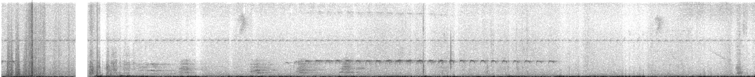 Western Fire-eye (Pacific) - ML636499011