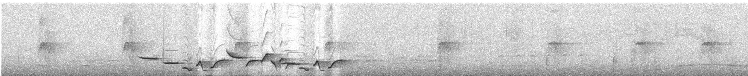 Whiskered Wren - ML636500068