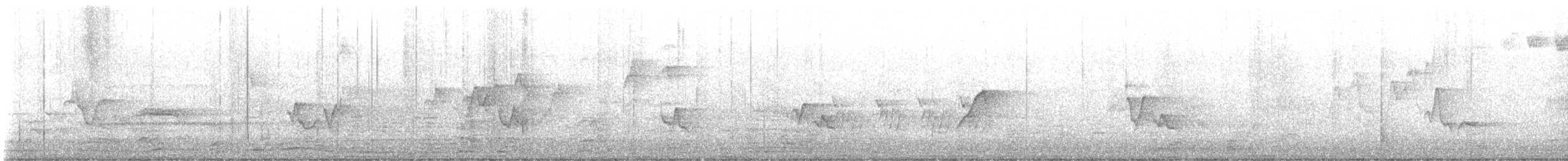 Mourning Warbler - ML636502095