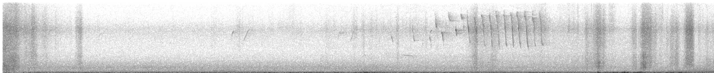 Tennessee Warbler - ML636503572