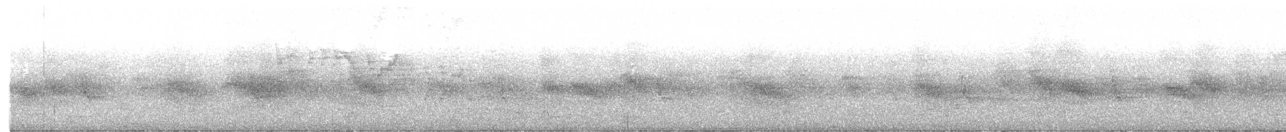 Bicknell's Thrush - ML636504867