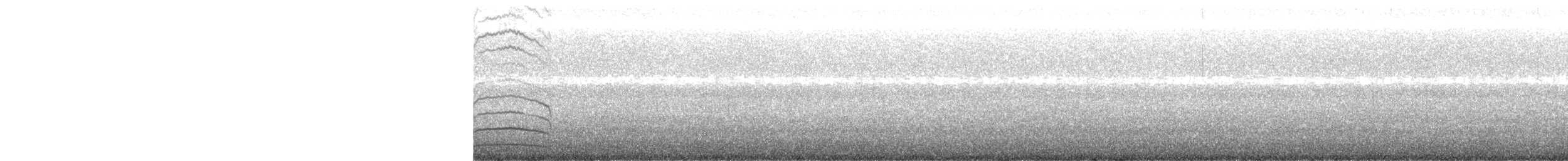 ústřičník proměnlivý - ML636506267