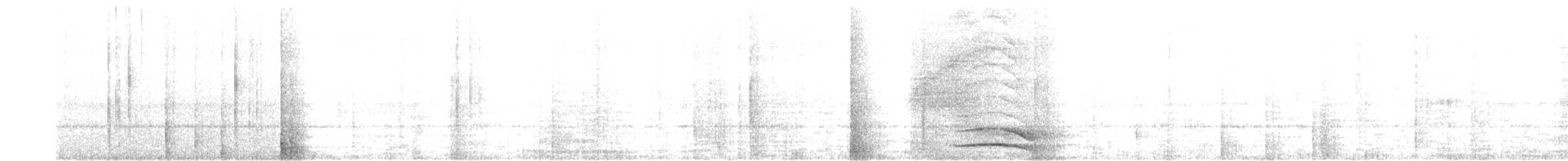 クロオビヒナフクロウ（サンイシドロ） - ML636508185