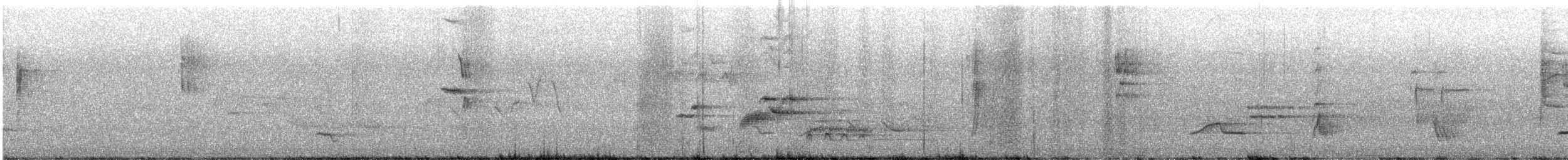 Wood Thrush - ML636509660